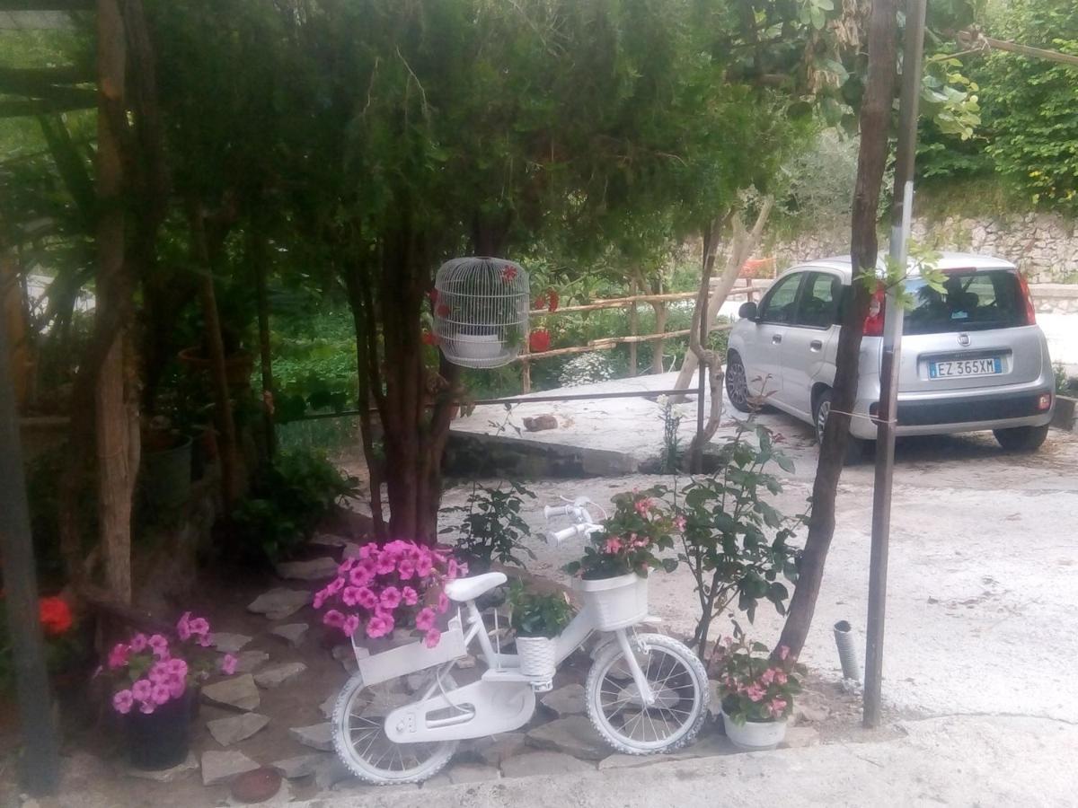 비코에쿠엔세 Amaa Casa B&B 외부 사진